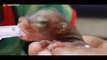 Vet adopts two abandoned baby squirrels and nurses them back to health in India