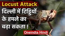 Locust Attack: Delhi में कोरोना के बीच कभी भी हो सकता है टिड्डियों का अटैक | वनइंडिया हिंदी