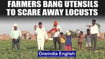 Locust attack: Farmers in Kanpur bang utensils, beat drums to scare away the locusts: Watch|Oneindia
