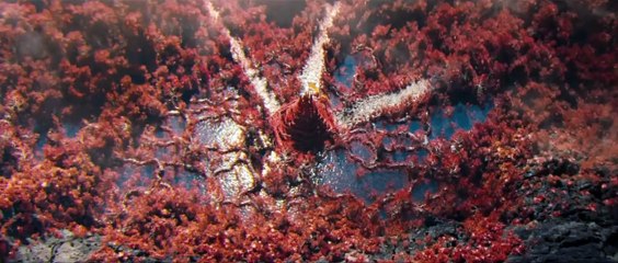 Star Trek: En la oscuridad - Teaser trailer