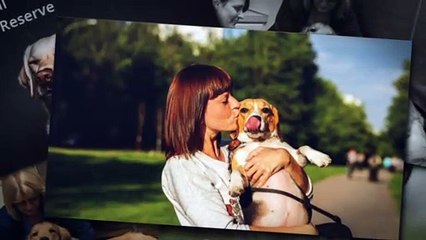 Quality Pet Care Providers