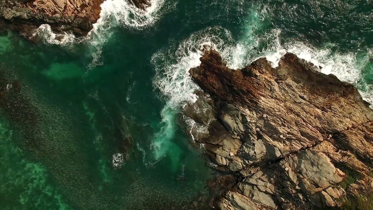 Nature video