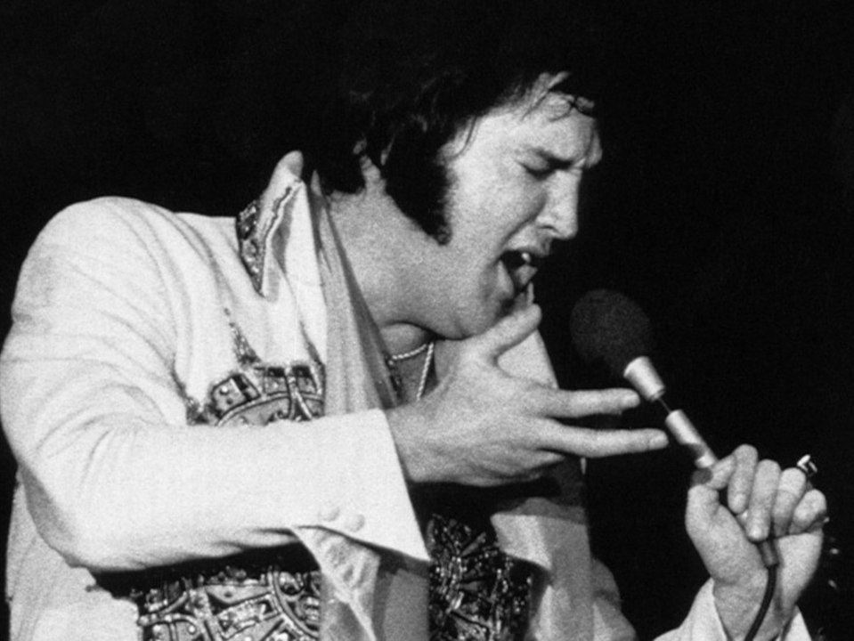 Funkelndes suspensorium: unterwäsche von elvis presley zum verkauf