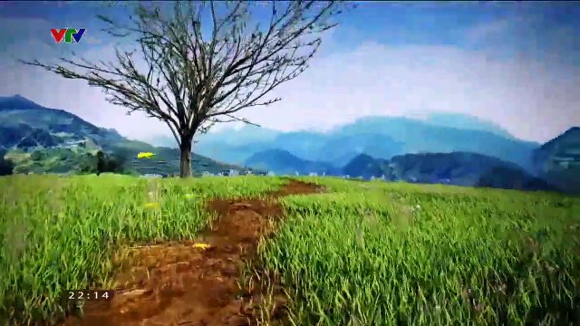 Đài Truyền hình Việt Nam - Hình hiệu Chương trình Quê hương mùa đoàn tụ (Tết 2020) (DL)