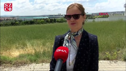 Ankara'da 'örümcek' paniği