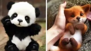 Cute baby animals Videos Compilation - Cutest moment of animal baby - Animal videos