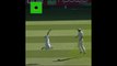 England cricketer Paul Collingwood amazing catch of cricket history in worldwide and highlights
