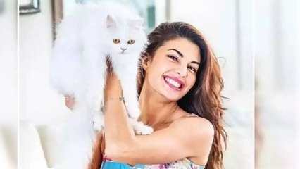 Jacqueline Ka SWAG SE SOLO ! Jacqueline Solo Dance