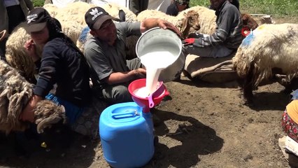 Terörün Kökü Kazındı Yaylalar Göçerlerle Dolup Taştı