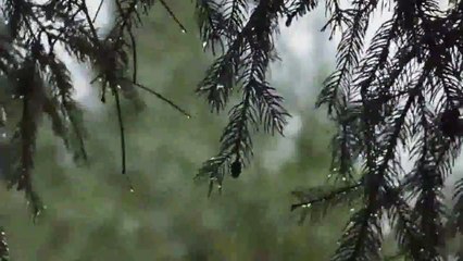 Beautiful Soothing Relaxing Music Video