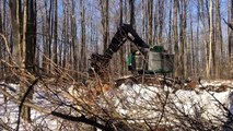 Forestry Excavator Takes Down Big Tree | Timberpro Rolly Felling Tree | Forestry Machine