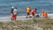 Porto Torres (SS) - Cagnolino in balia della corrente salvato dai Vigili del Fuoco (29.05.20)