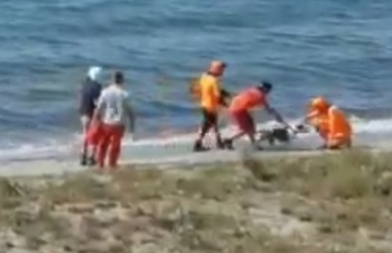 Porto Torres (SS) - Cagnolino in balia della corrente salvato dai Vigili del Fuoco (29.05.20)