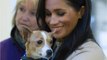 Meghan Markle Has Been Secretly Helping Her Charities During COVID