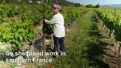 Dancer, café owners join the ranks as French agriculture struggles for manpower