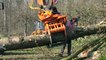 Cutting Trees with an Excavator | Innovative Tree Shear | Forestry and Landscaping