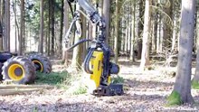 Machine Felling Trees | Forestry Equipment | Ponsse Harvester