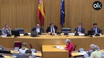 Primera denuncia ciudadana contra Pablo Iglesias por «homicidio imprudente» en las residencias