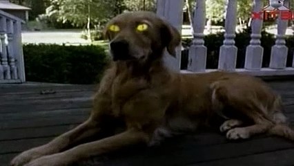 Goosebumps Season 2 Episode 6 Go Eat Worms