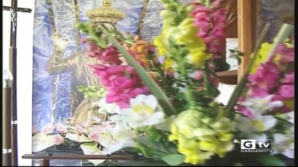 TG GARGANOTV 29 05 2020