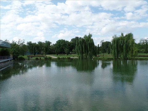 PARCO NORD DI VIA CAMPESTRE A BRESSO (MILANO, ITALY)