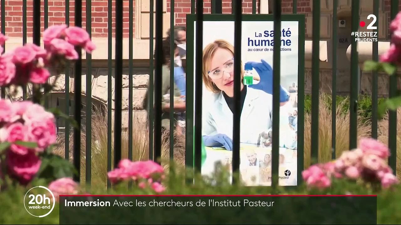 "Nous avons fait entre 4 à 5 mois ce que l'on fait habituellement en 24 mois" : dans le quotidien des chercheurs de l'Institut Pasteur, qui tentent de mettre au point un vaccin contre le Covid-19
