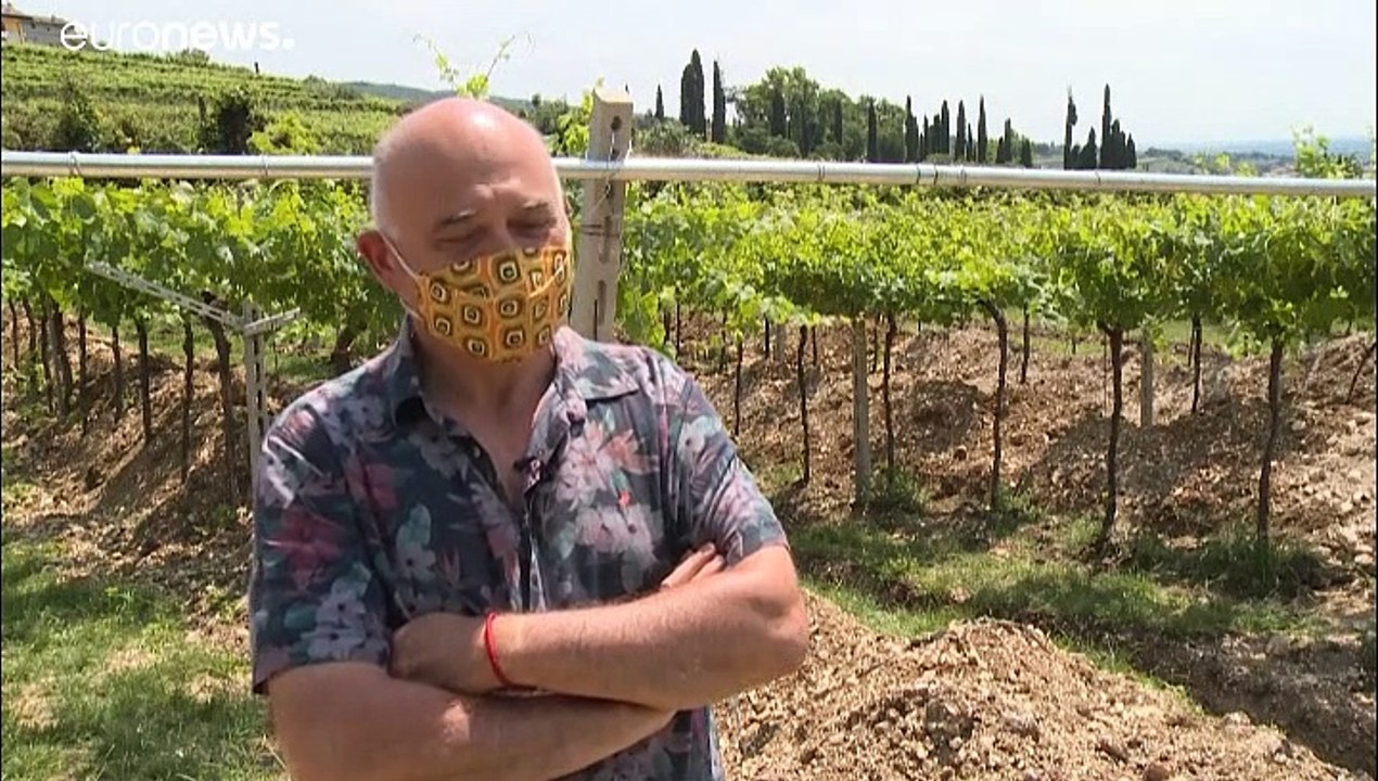 En Italie, sous les vignes, les mosaïques