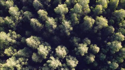 528 Hz, die Frequenz für Heilung und Transformation