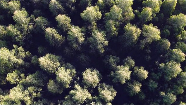 528 Hz, die Frequenz für Heilung und Transformation