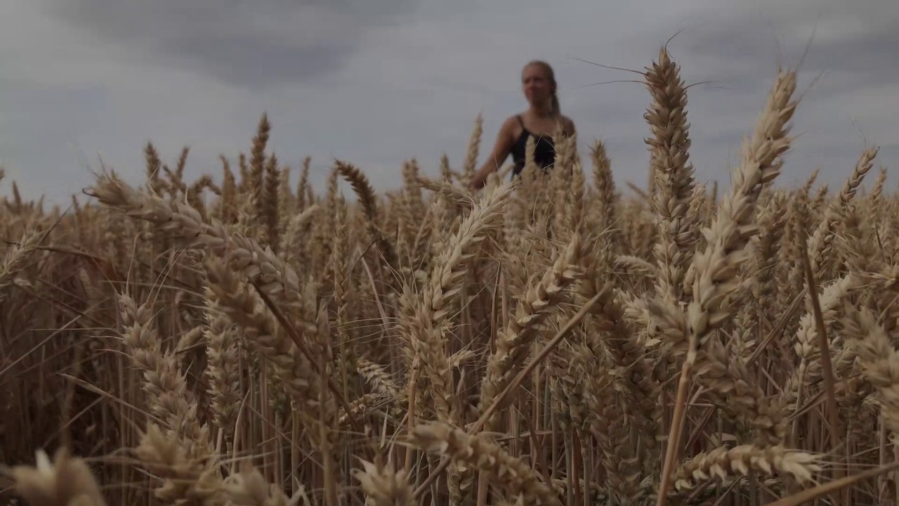 Worum geht es bei uns? 'Tiny House Tour' stellt sich vor | TINY HOUSE TOUR