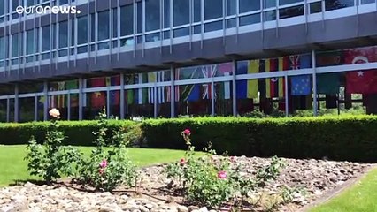 Trump "termina" relações com OMS