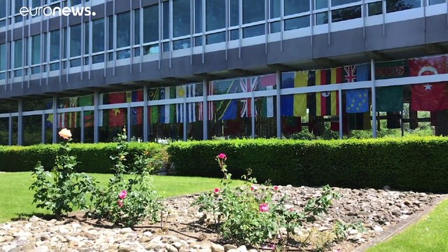 США прекращают все отношения с ВОЗ и переводят средства в другие структуры — Трамп