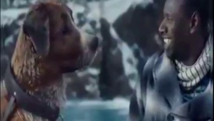 La lealtad del perro nunca falla incluso cuando peligrosa es la situación.