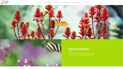 The Desert Botanical Garden Has Your Desert Plant Experts