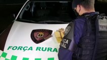 GM apreende adolescente paraguaio com tabletes de maconha e munições de pistola no Santa Cruz