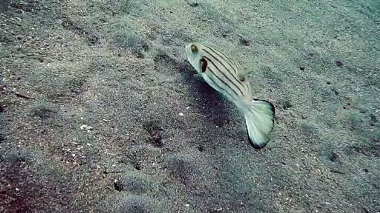 Underwater