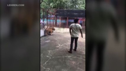 रियल शेर से लड़ते नजर आये Pawan Singh, देखिये शूटिंग वीडियो | Sher Singh