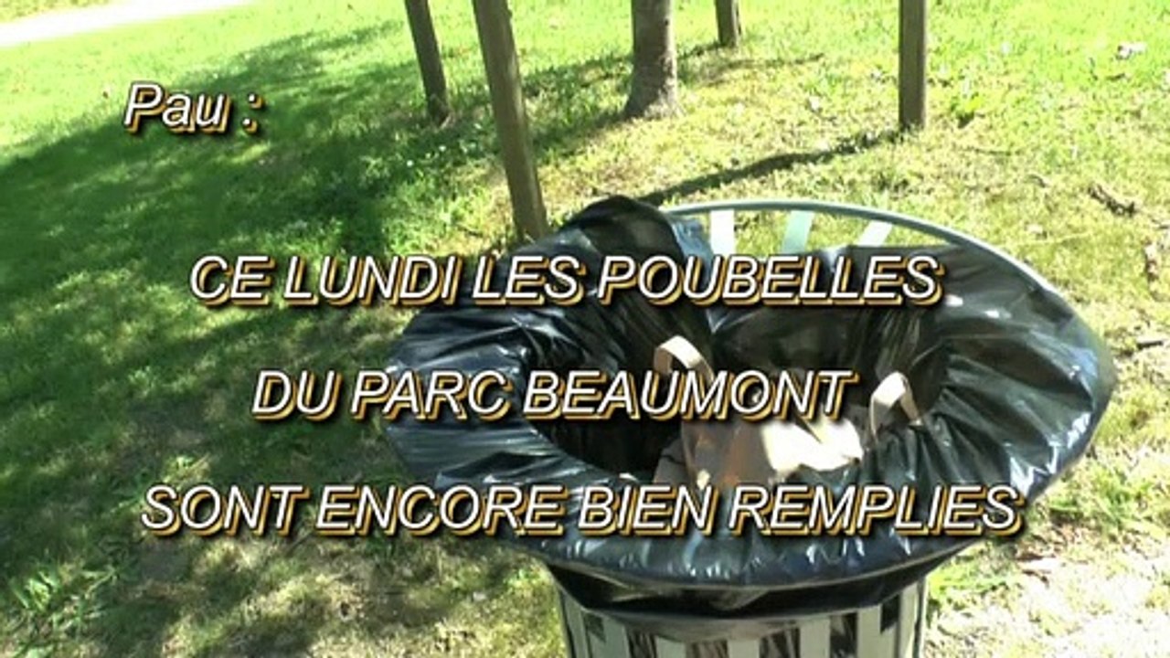 LES W-D.D. MICHOU64 NEWS - 24 ET 25 MAI 2020 - PAU - LES POUBELLES DU PARC BEAUMONT SONT PLUS QUE REMPLIES CHAQUE JOUR
