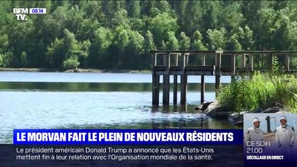 En période de distanciation sociale, le Morvan fait le plein de nouveaux résidents