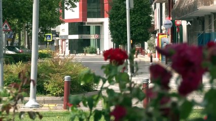 İzmir’de sokaklar boş kaldı, körfezde deniz canlıları gün yüzüne çıktı