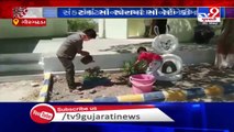 Gir Somnath- People under quarantine undertake revamp activities at primary school - TV9News