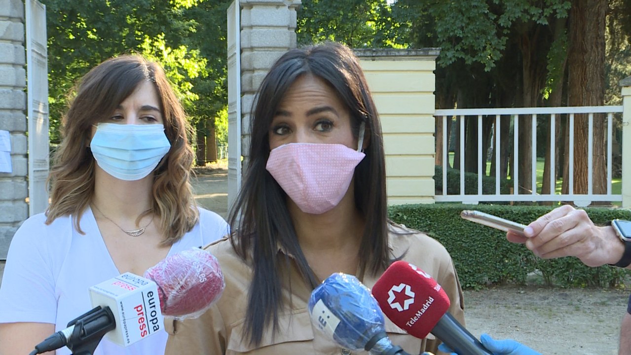 Madrid "valora distintas iniciativas" sobre hacer tests masivos