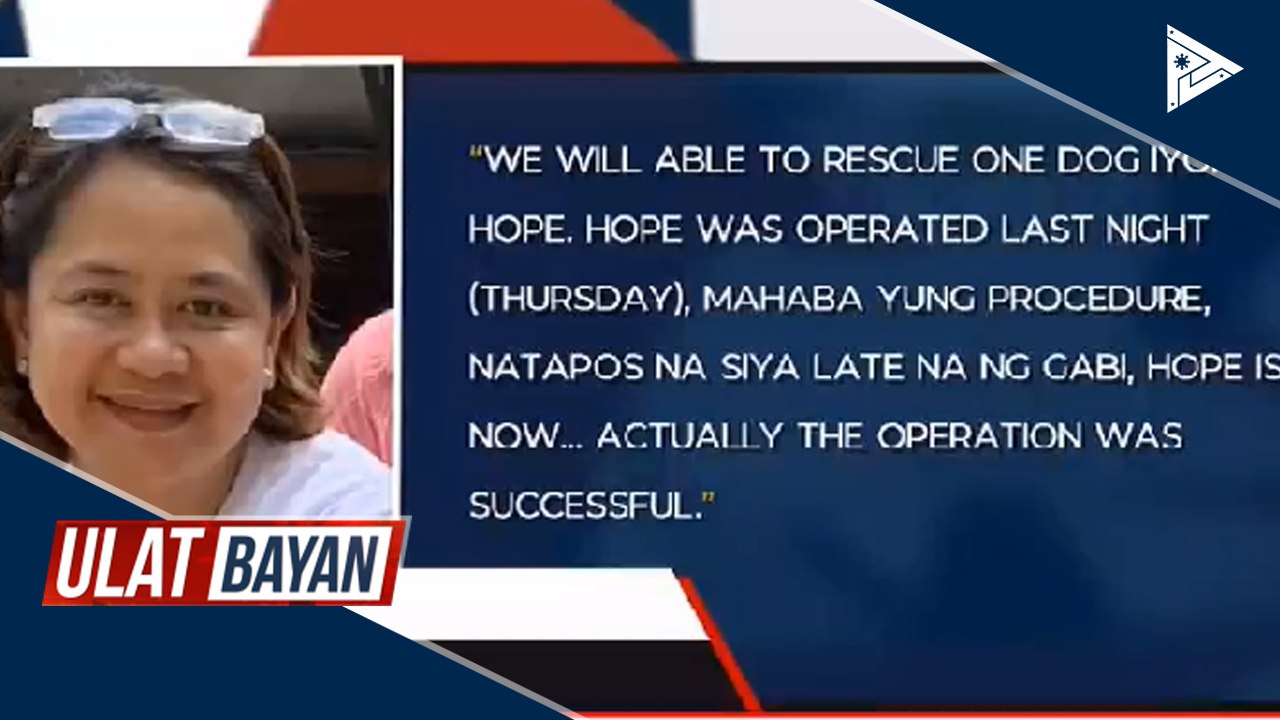 Isang aso na may tumor sa tiyan, ni-rescue ng AKF