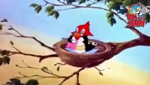 توم و جيري حلقة مضحكه جدا