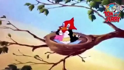 توم و جيري حلقة مضحكه جدا