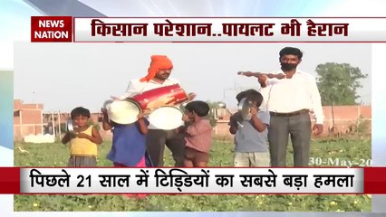 Terrorr atack of Grasshopper in the sky farmers very trouble