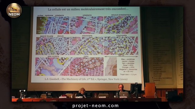 De la physique quantique à la biologie quantique - Pr Marc Henry