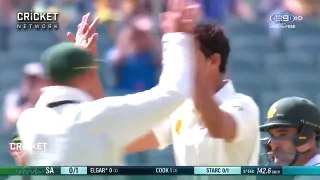 All 42 wickets taken by Mitch Starc in day-night Tests