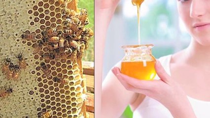 Télécharger la video: शहद के फायदे और स्वास्थ्य लाभ | Health Benefits Of Honey