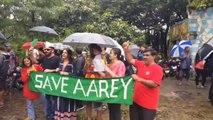 Bollywood Divided Over 'Save Aarey' & We Wonder Why?